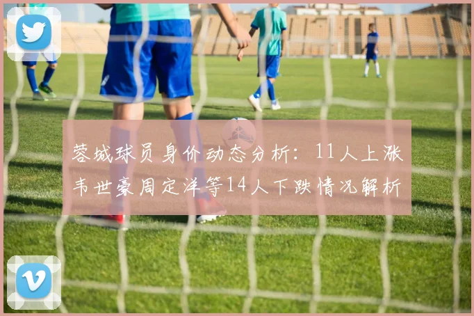 蓉城球员身价动态分析：11人上涨韦世豪周定洋等14人下跌情况解析