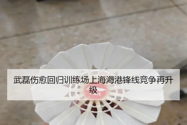 武磊伤愈回归训练场上海海港锋线竞争再升级 - LDSPORTS